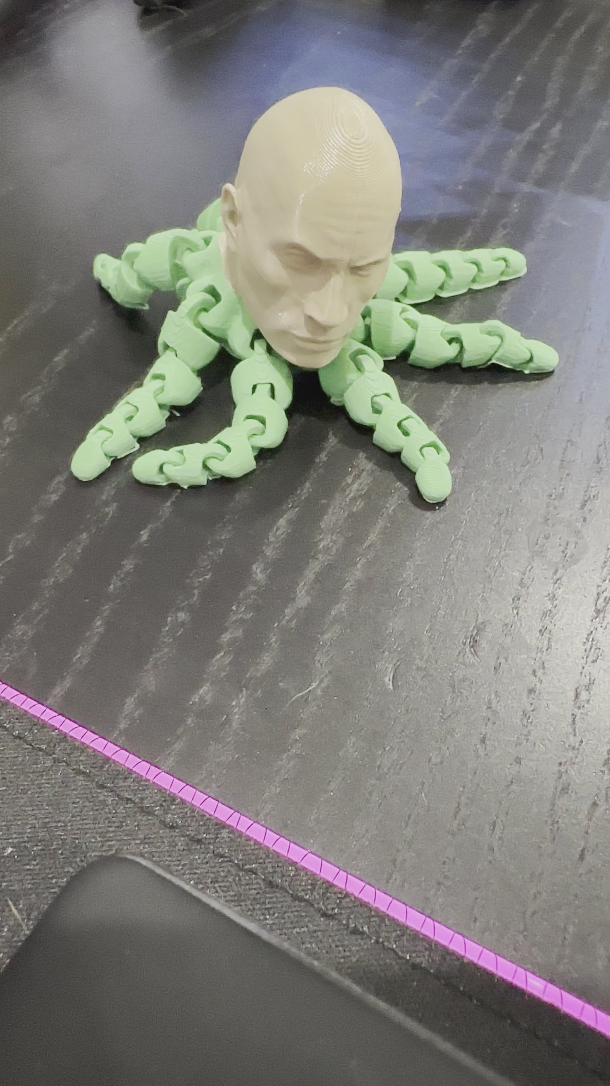 Video of fidget toy that looks like an octopus but with THE Rock’s head