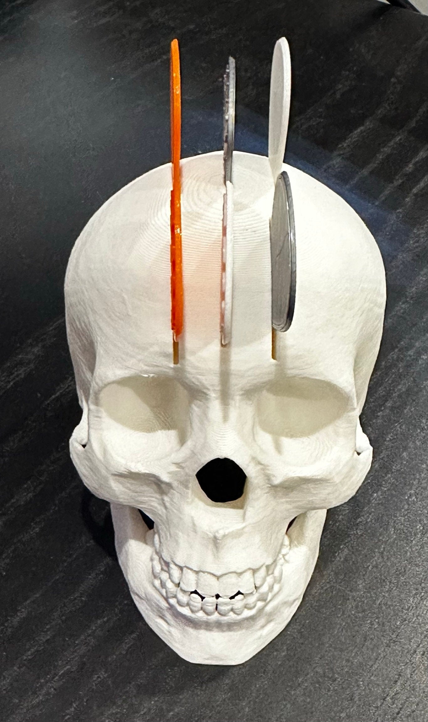 White pick holder skeleton head